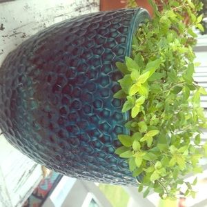 A tealish blue pot